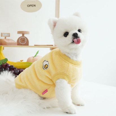 패리스독 패리스프렌즈 강아지옷