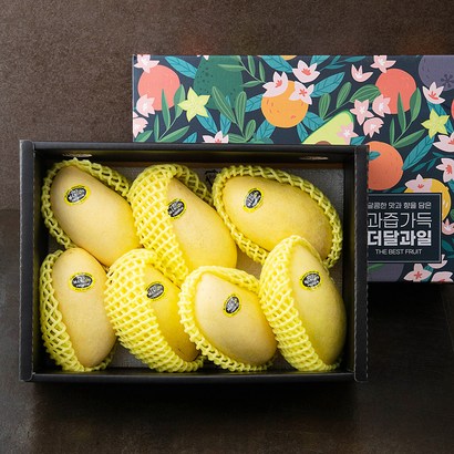 더달 필리핀산 달콤가득 망고 선물세트 리뷰 후기