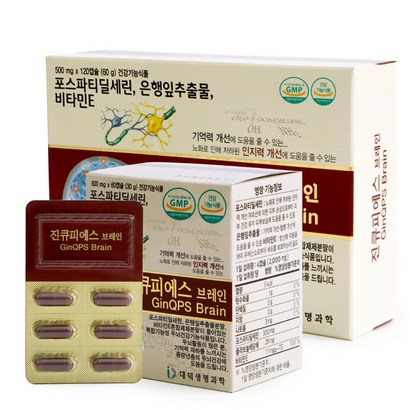 진큐피에스 브레인 혈행 혈액 순환 포스파티딜세린 영양제