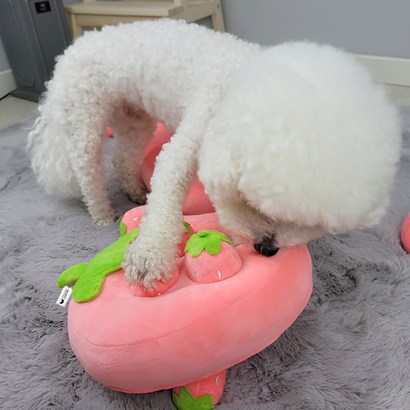 리스펫 과일뽑기 4포켓 강아지 노즈워크 장난감