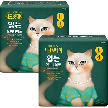 시크릿데이 입는 오버나이트 대형 생리대