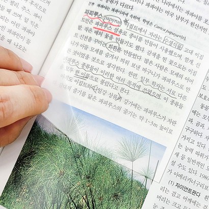 OON 점착식 오답노트 투명 메모 포스트잇 50매 50매