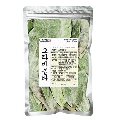 자연초 그라비올라 잎 차 A형