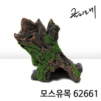 아이사이언스에듀 모스유목 어항유목 구피은신처 유목