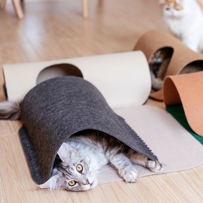 틸릿 고양이 숨숨집 미로 펠트 터널 세트