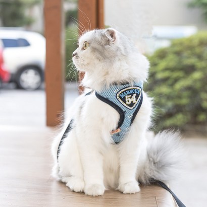 후펫 고양이 전용 하네스 h형 가슴줄 산책줄 목줄 리드줄포함 리뷰후기