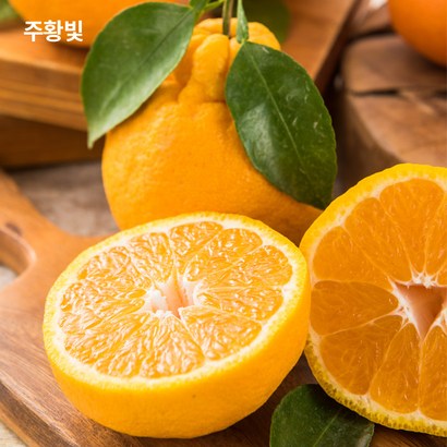 주황빛 한라봉 가정용 선물용