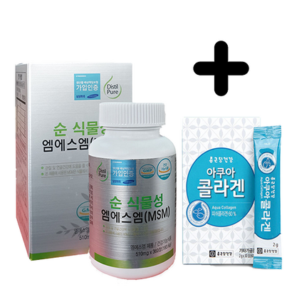 식물성 s 식이유황 관절 연골 sn 영양제 무릎 발목 손목 허리 통증 3개월분 사은품 증정