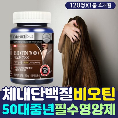 수용성 비타민B 비오틴 영양제 체내 단백질 보충제 정 에너지 활력 대사 기능 보조제 중년 남성 여성 필수 맥주효모 프로틴 케라틴 베타글루칸 프리바이오틱스 유산균 먹이 고함량 추천