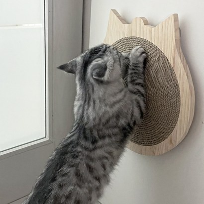 고양이 붙이는 부착형 벽면 돌아가는 스크래쳐