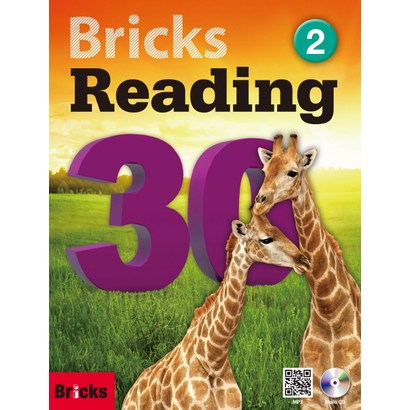 Bricks Readin 30 2