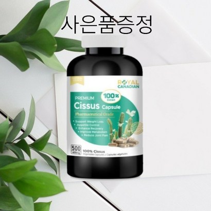 캐나다 시서스 500캡슐 고함량 로얄캐네디언 고농축 시져스 가루 추출물 시저스 무료배송상품이벤트