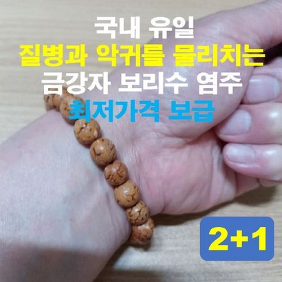 질병과 악귀를 물리치는 국내 유일의 명품 금강자 보리수 염주팔찌