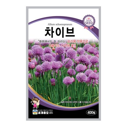 모칸도 세계 차이브 꽃씨 허브
