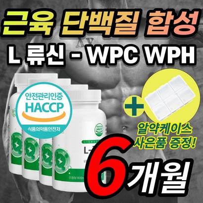 남자 류신 루신 뉴신 근육 단백질 헬스 운동 근손실 로이신 이소류신 발린 동물성 식물성 WC WH 완두 유청 농축 가수분해 단백질 담백질 단백분말 정 캡슐 노인 어르신 추천
