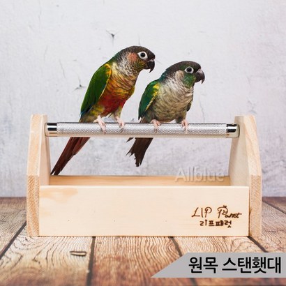 원목 스탠횃대 발톱갈이 횟대 스탠드식 횃대 새용품