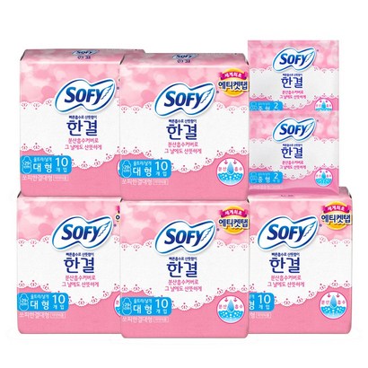 바디피트 한결 대형 증정중형
