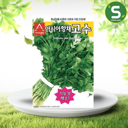 솔림텃밭몰 고수씨앗 300립 아시아향채고수 향신채 쌈채 건강채소 리뷰후기