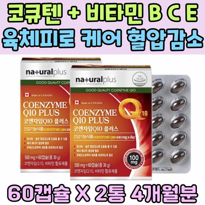 코큐10 COQ10 비타민 B C E 육체피로 혈압 감소 항산화 영양제 코큐텐 육체피로 프리미엄 코엔자임 Q10 에너지 생성 업 체력 소모 보충 스트레스 관리 건강식품 추천