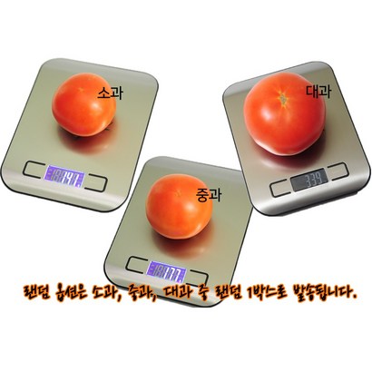 완숙 찰 토마토 소 중 대과 정품