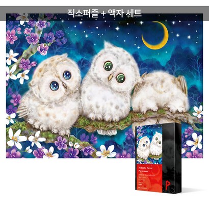500피스 직소퍼즐액자세트 - 한밤중의 숲속 놀이터