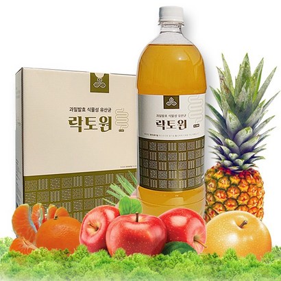 락토원 락토원1 과일발효 식물성 유산균 장건강 퀀텀비즈