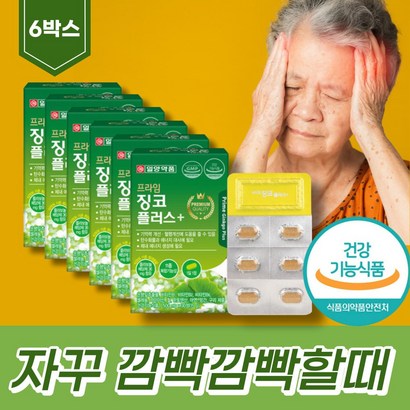 머리가찌릿찌릿 뇌건강영양제 기억력개선 혈행 징코플러스 플로보노이드 플라보놀배당체 혈행개선 은행잎추출물영양제 징코라이드 토코페 은행잎 빌로발라이드 프라보놀 진코