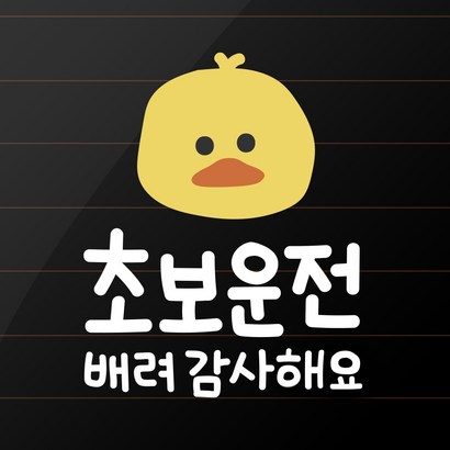 초보운전 스티커 자동차 운전 연수 연습 배려 낙서 데칼 미니쿠퍼 레이 병아리 디자인