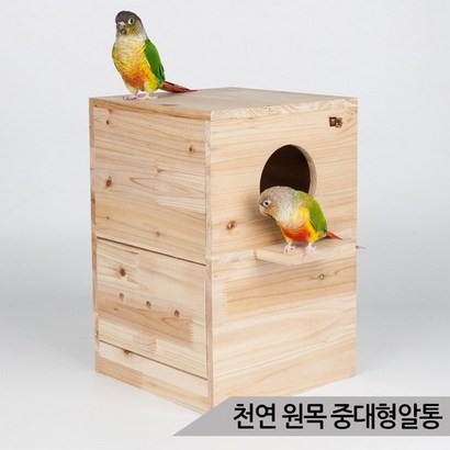 고급형 중대형 알통 옆문형 앵무새 번식용 새집 B009
