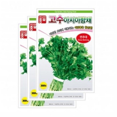 아시아종묘 채소씨앗 - 고수 아시아향채