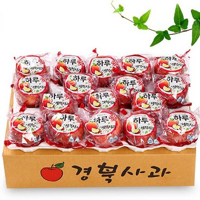 정품 하루애 세척사과 20-26과