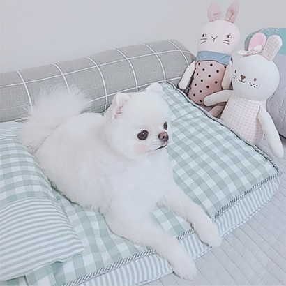 로마팸 강아지 매트 고양이 쿠션 방석 체크 침대