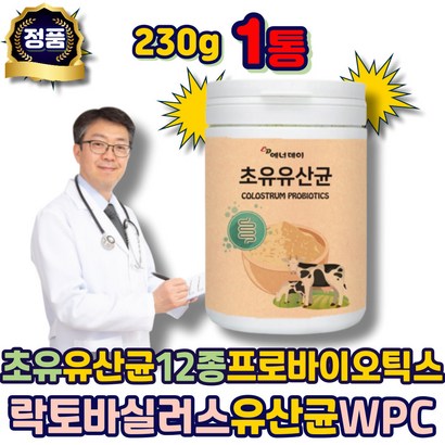 초유유산균 락토바실러스 유산균 프로바이오틱스 12종 농축유청백분말 초유분말 프락토올리고당 플란타럼 루테리 람노서스 비피도박테리움 가세리 분말 가루 남자 수험생 노인 남성 여성