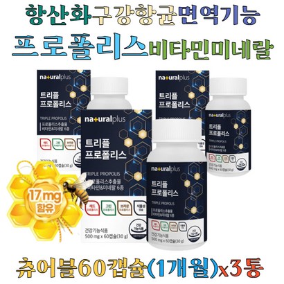 항산화 면역력 영양제 그린 프로폴리스 플라보노이드 레드 브라운 roois 셀렌 비타민B 아연 구강 항균