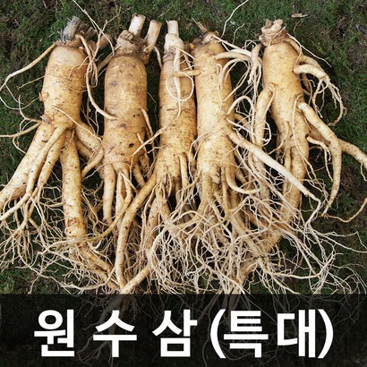 청명네이처 금산인삼 수삼 특대