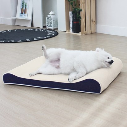 러스터지 강아지방석 통세척 친환경 침대 스프링 쿠션