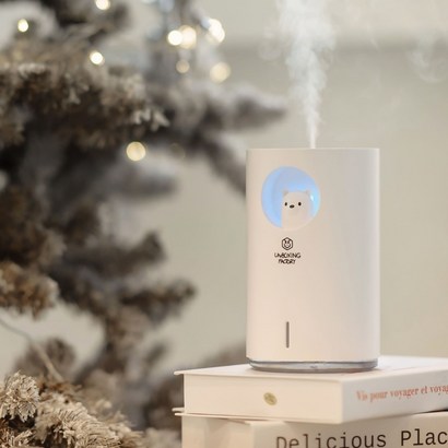 세라안녕 화이트고미 미니 USB 대용량 가습기 리뷰후기
