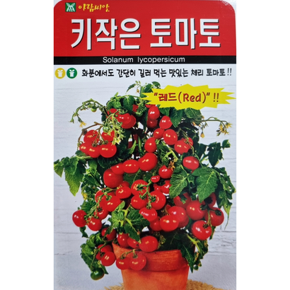 화분월드 열매채소 씨앗