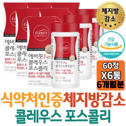 중년 여성 체지방량 감소 에버핏 콜레우스 포스콜린 비타민B6 엘라스틴 가수분해물 흰강낭콩 추출분말 함유 탄수화물 에너지 대사