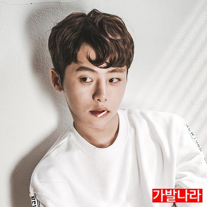 가발나라 투블럭 부분가발