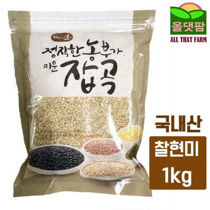 올댓팜 2022년산 국산 찰현미 현미찹쌀