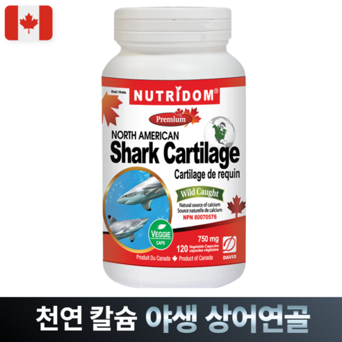 뉴트리돔 상어연골 120정 어골칼슘 저분자 콘드로이친 관절 샤크 카트리지 1200 캐나다 식약처 인증 카포리아 리뷰후기