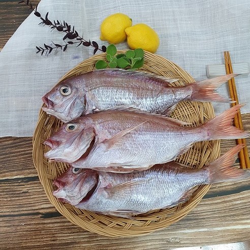 반건조 생선 국산 참돔 1마리 손질 제수용 구이용 찜용 리뷰후기