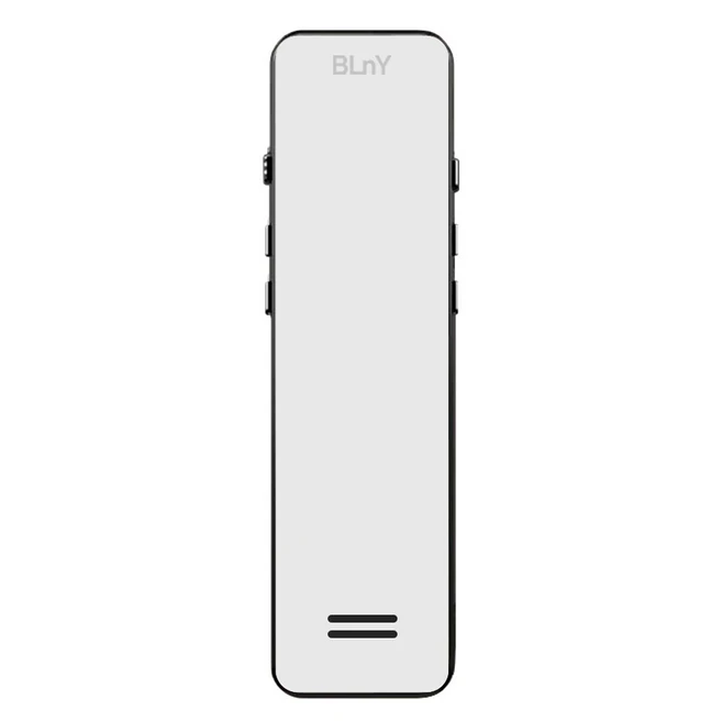 비엘와이 32GB 휴대용 보이스레코더, VR096Pro, 블랙