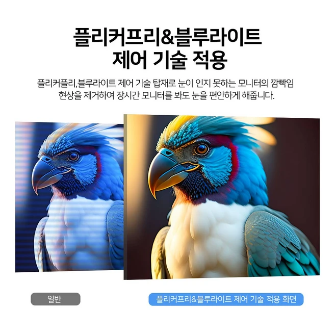 에비크 39.62cm FHD 15.6inch IPS 포터블 DEX 휴대용 모니터, 블랙