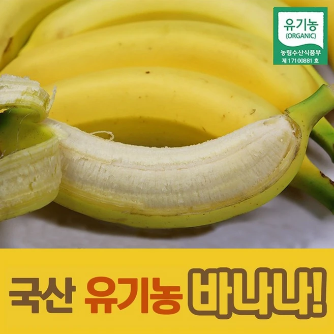 국내산 산청 유기농 바나나, 2.5kg, 1세트