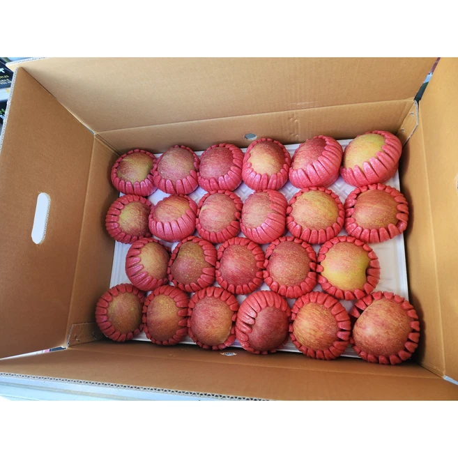 부사 꿀사과 고랭지사과 정품, 1개, 5kg(17~18과)
