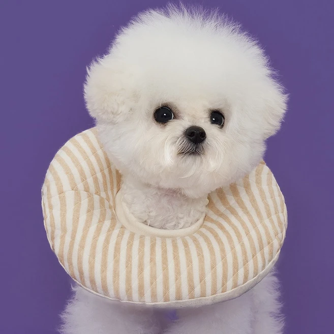 도그아이 반려동물 목화솜 쿠션 넥카라, 스트라이프, 1개