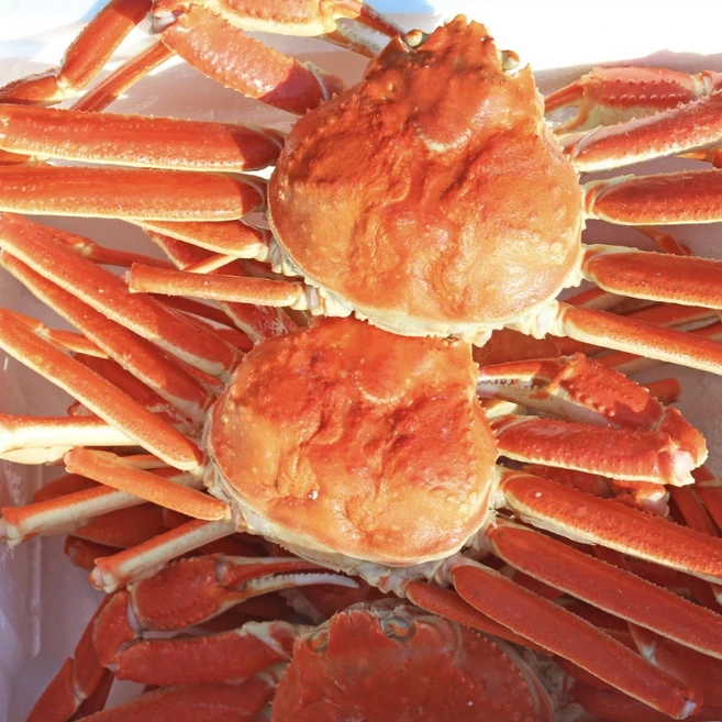 [동해항 당일발송] 특A급 러시아 박달대게 자숙대게 수율보장제도실시, 1kg (1마리내외), 1개