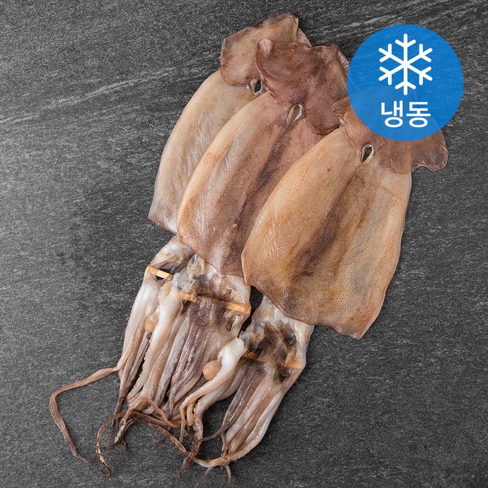 해선생 포항시 인증 구룡포 건조 반건 오징어 3미 (냉동), 450g, 1개